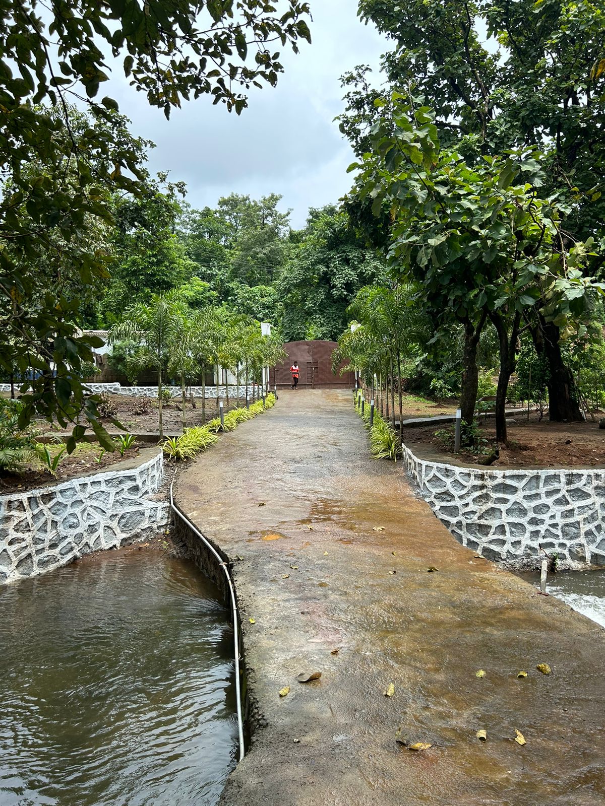 Bridge_Image