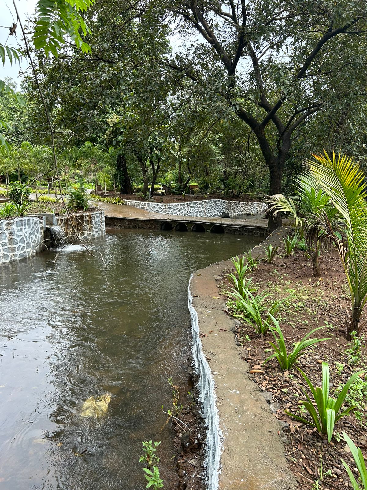 Scenary