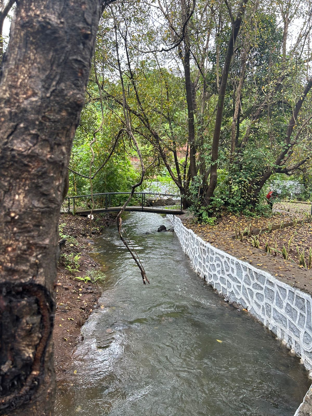 Scenary