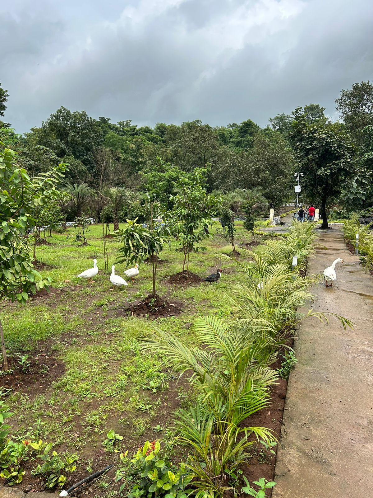 karjat resorts for family